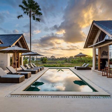 Villa Mango Paradise By Balisuperhost Ubud Kültér fotó
